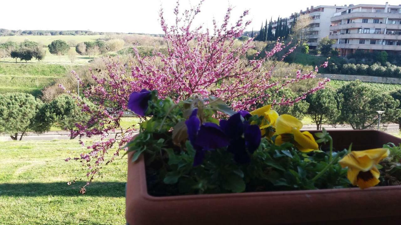 B&B Colline verdi Vitinia Dış mekan fotoğraf