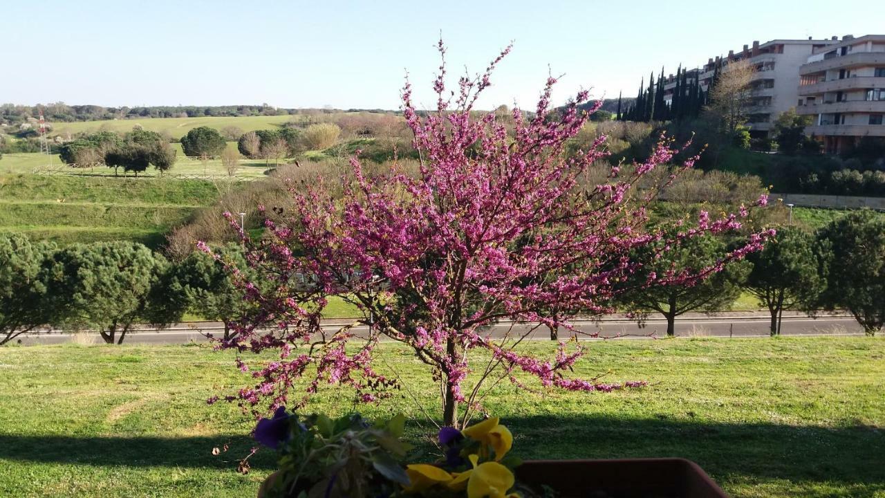 B&B Colline verdi Vitinia Dış mekan fotoğraf